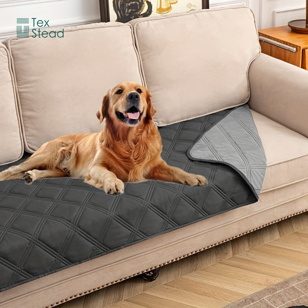 Reversible Waterproof Dog Bed  - Mattress Protector Waterproof review and price